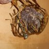 1970' Wall Lamp of An Eagle with Wings Spread FERNANDEZ or DUVAL BRASSEUR or HONORE - PARIS - Image 7