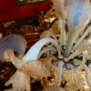1950'  Chandelier Murano Blue Opalescent Colour With Gold  5 lights - Image 4