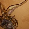 1970' Wall Lamp of An Eagle with Wings Spread FERNANDEZ or DUVAL BRASSEUR or HONORE - PARIS - Image 6
