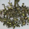 1900'  Ball of Mistletoe Art Nouveau Bronze has 5 Bulbs and Pearls Opaline 50 Diameter - Image 2