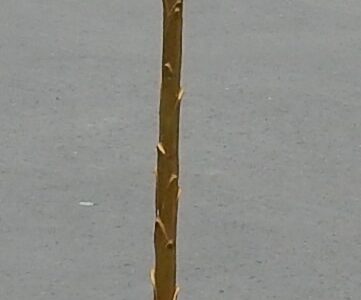 1950/70 Golden Bronze Lamppost Maison Baguès Model Palm Tree