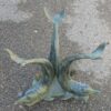 Coffee table to dolphins - Image 3