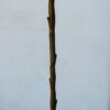 1950/70 Golden Bronze Lamppost Maison Charles Model Palm Tree Adjustable