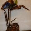 1970/80 Bronze heron and pate de verre  , signed LOHE