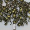 1900'  Ball of Mistletoe Art Nouveau Bronze has 5 Bulbs and Pearls Opaline 50 Diameter - Image 4