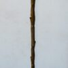 1950/70 Golden Bronze Lamppost Maison Charles Model Palm Tree Adjustable - Image 2