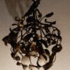 1900' Lustre Boule de Gui en Bronze Art Nouveau à 2 Lampes Diamètre 45 cm – Image 2