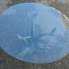 Coffee table to dolphins