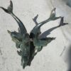 Coffee table to dolphins - Image 2