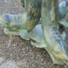 Coffee table to dolphins - Image 5