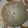 1960/70' Paire de Lustres Venini  Murano Doria Lichtenwerken – Image 5