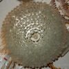 1960/70' Paire de Lustres Venini  Murano Doria Lichtenwerken – Image 4