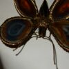 1970' Wall Lamp Butterfly Duval Brasseur Or Isabelle Faure With Wings Agate  30 X H  37 CM - Image 4