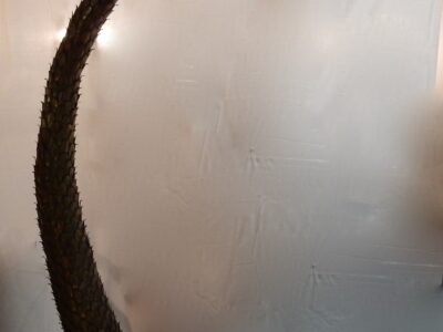 1970s Huge Lighting Palm Tree in Gilded and Polished Brass And Iron, Maison Jansen in Paris