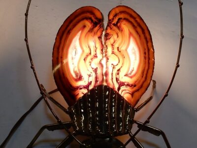 1970' Gilded Bronze Wall Lamp Cicada Style Duval Brasseur Enlightening
