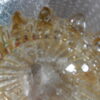 1970 ‘Pair of Vases Or Similar Murano Crystal  and Gold Signed Murano Toso H 36 cm - Image 3