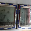 1970/80 Paire De Miroirs Venise Style Louis 14 Avec Ornements En Verre Bleu 112 X 95 cm – Image 27
