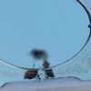 1950/70 ′ Venetian Cartridge Mirror, Beveled Oval 76 x 60 cm - Image 8
