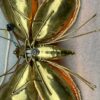 1970′ Paire D'Appliques Papillon en Bronze ou Laiton, Duval Brasseur Ou Isabelle Faure, 4 Ampoules, Ailes d’Agate : 53X H 45 cm – Image 11
