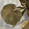 1970′ Applique Ou Plafonnier Au Feuillage DLG Maison Jansen en Laiton 1 Ampoule Diamétre 71 cm – Image 6