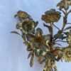 1880′ Paire d’Appliques en Bronze Doré Patiné à Décor Floral 5 Bras de Lumière – Image 9
