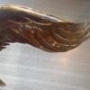 1970' Eagle with Spread Wings RICHARD AND ISABELLE FAURE for HONORÉ – PARIS Or Fernandez Or Duval Brasseur - Image 8