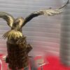 1970' Eagle with Spread Wings RICHARD AND ISABELLE FAURE for HONORÉ – PARIS Or Fernandez Or Duval Brasseur - Image 5