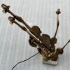 1970/80 Violin Lamp  In Bronze  Signed LOHE - Image 2
