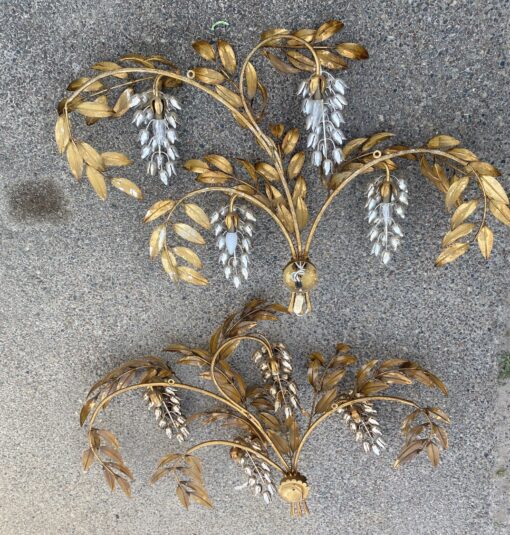 1970′ Pair of Sconces or Similar to 4 Glycines, 130X 80 cm Hans Kogl - Image 6