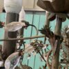 1990′ Maison Baguès Style Chandelier Foliage And Flowers 18 Lights Ø 90 cm H 110 cm - Image 5