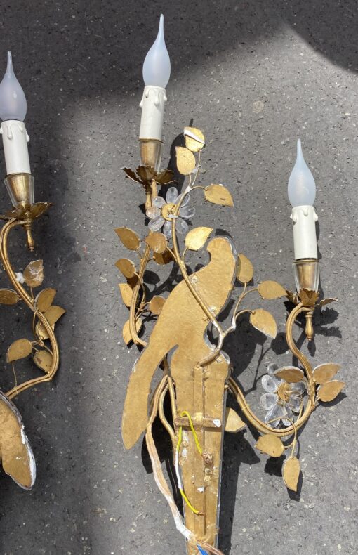 1950/70′ Paire d’Appliques à la Perruche Posée Sur Une Gaine, Maison Baguès H 63 – Image 3